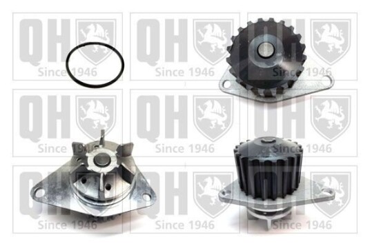 QUINTON HAZELL QCP2492 Vannpumpe