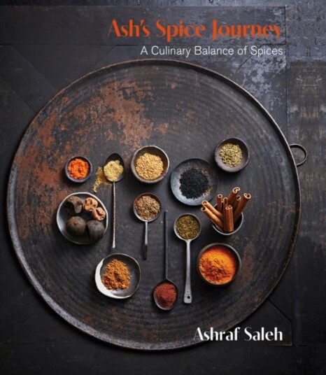 Ash's Spice Journey A Culinary Balance of Spices