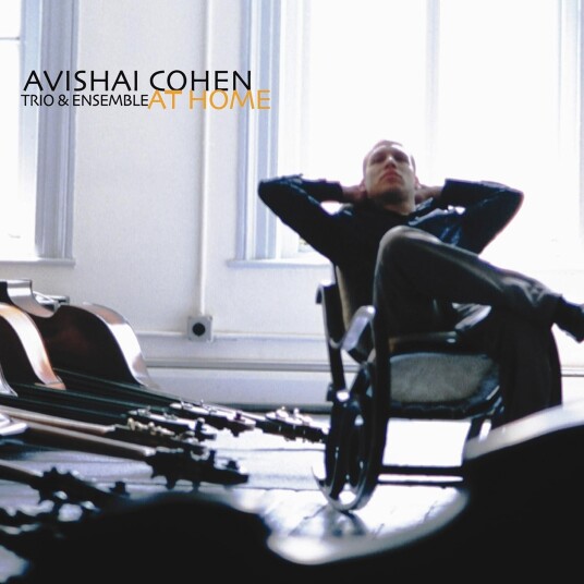 Avishai Cohen At Home LP/Vinyl Avishai Cohen At Home LP/Vinyl