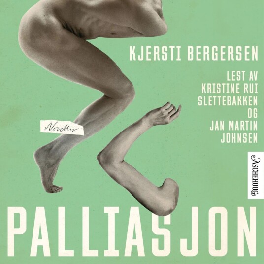Palliasjon Av Kjersti Bergersen
