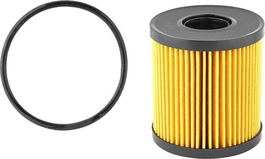 Oljefilter Professional Parts 22430798