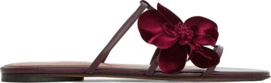 Zimmermann Dame Sko Rød 37 EU,