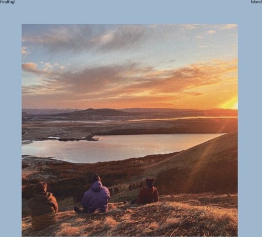 Hvalfugl Island CD