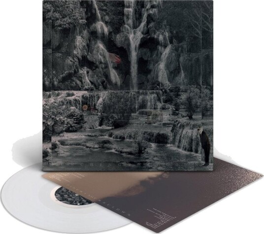 Punching The Clown Vinyl