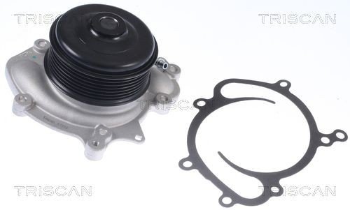 TRISCAN 8600 23081 Vannpumpe