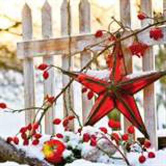 Lunsj serviett Adventstjerne på gjerdet Lunsj serviett Adventstjerne på gjerdet
