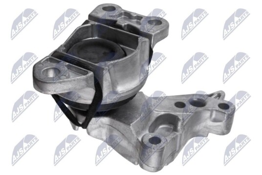 Motorfeste NTY ZPS-RE-077