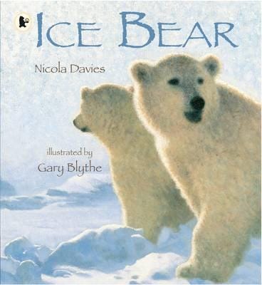 Ice Bear Av Nicola Davies Ice Bear Av Nicola Davies