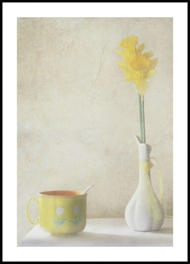 Daffodils Plakat Plakat / 100x150cm