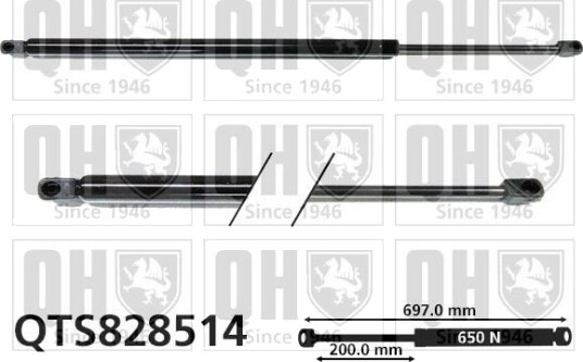 QUINTON HAZELL QTS828514 Baklukedemper