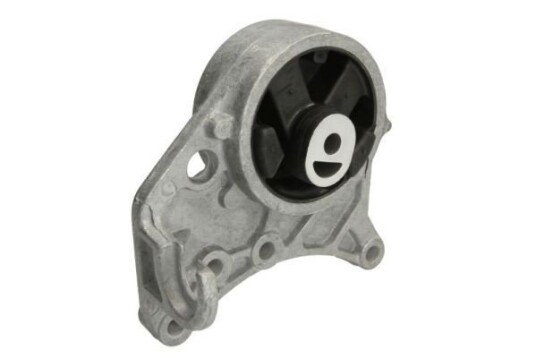 Motorfeste REINHOCH RH11-6009