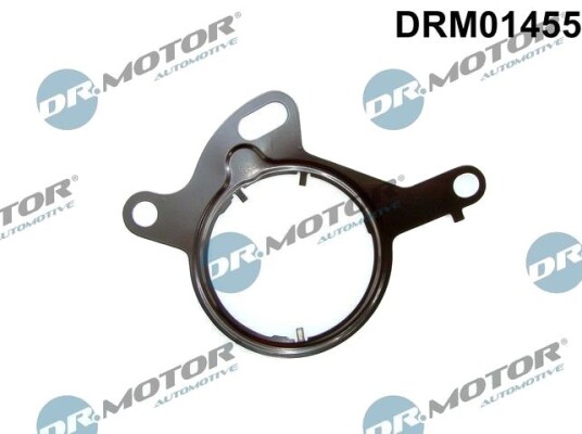 Tetning, vakuumpumpe DR.MOTOR AUTOMOTIVE DRM01455