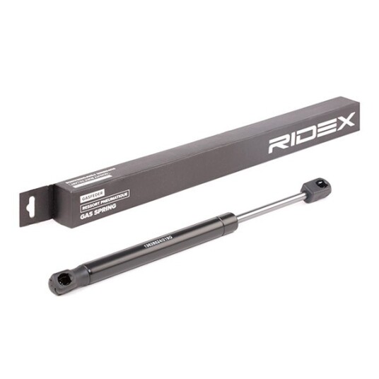 Baklukedemper RIDEX 219G0696