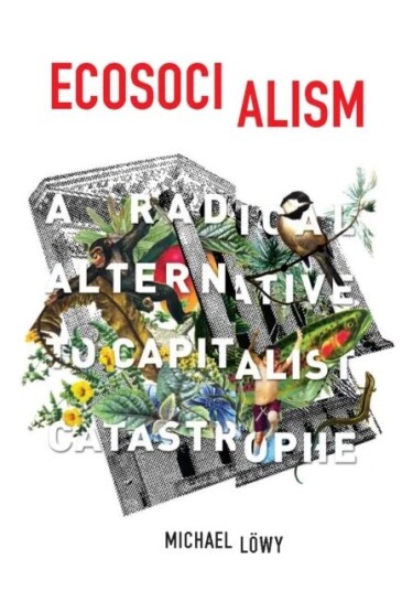 Ecosocialism Av Michael Lowy