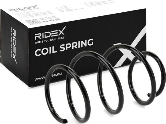 RIDEX 188C0831 Fjær