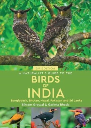 A Naturalist'S Guide To The Birds Of India Av Bikram Grewal