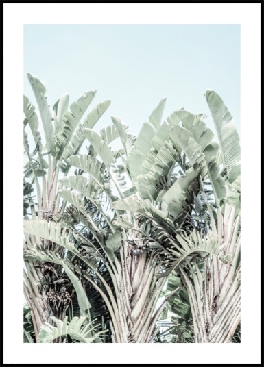Tropical Whispers Plakat / 50x70