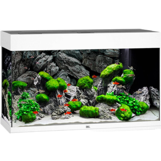 Rio 125 Led Hvitt Akvarium