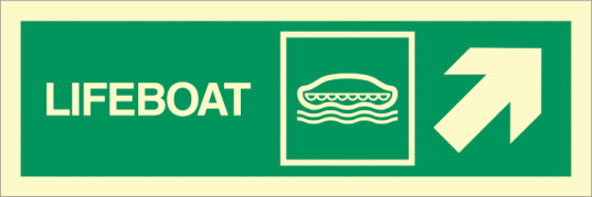Jo Safety Lifeboat arrow up right Etterlysende plast HI150 100 x 300 mm