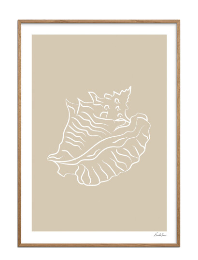 Poster & Frame Emilie Luna   Seashell 02   Multi/patterned   50X70CM