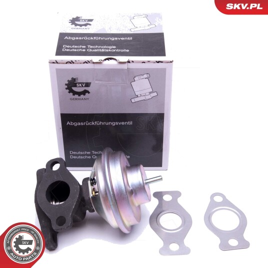 ESEN SKV 14SKV204 EGR-ventil