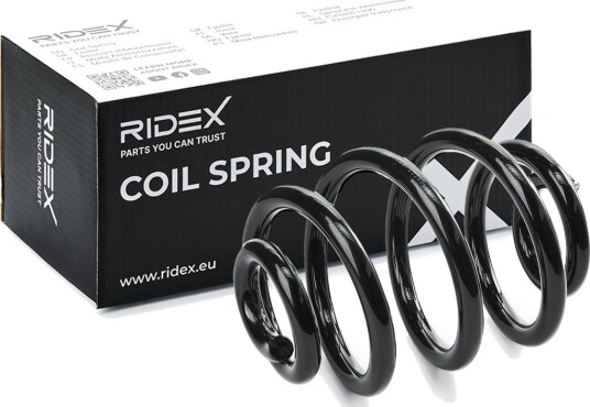 RIDEX 188C0681 Fjær RIDEX 188C0681 Fjær