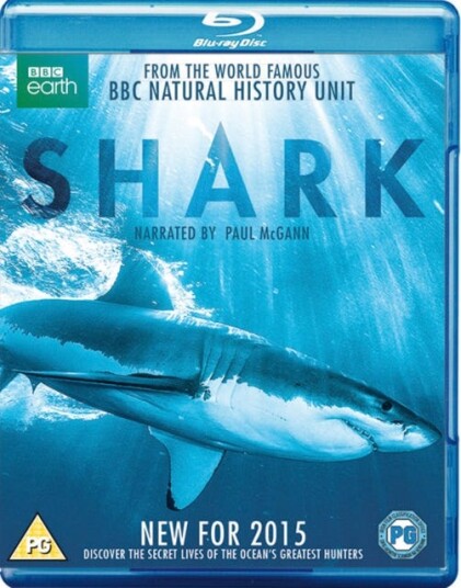Shark Shark