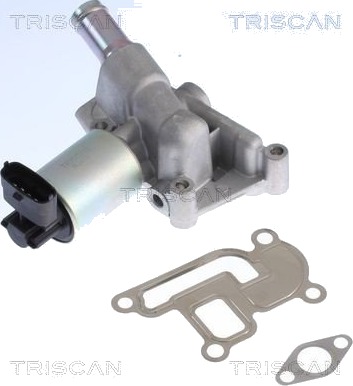 EGR-ventil TRISCAN 8813 24001