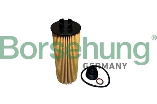Oljefilter Borsehung B10436 Oljefilter Borsehung B10436