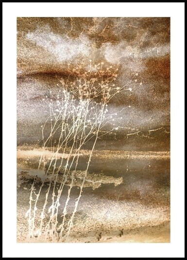Dried Dreams Poster Plakat / 40x50cm