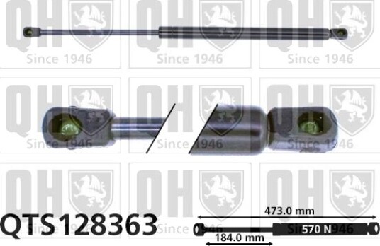 QUINTON HAZELL QTS128363 Baklukedemper