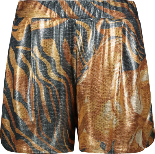 Alberta Ferretti Dame Shorts Flerfarget S,