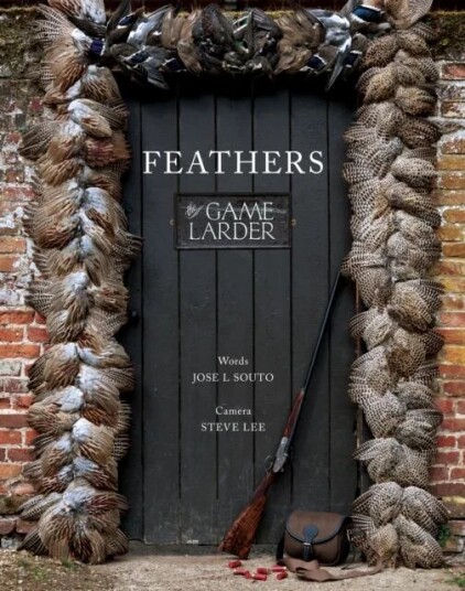 Feathers av Jose Souto