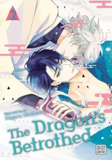 The Dragon'S Betrothed, Vol. 2 Av Meguru Hinohara