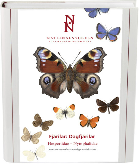 Fjärilar: Dagfjärilar Hesperiidae Nymphalidae