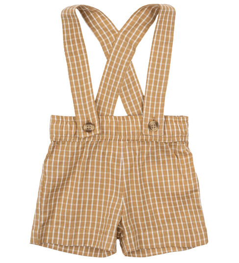 THE NEW Siblings Apple Cinnamon Check Norville Shorts 74
