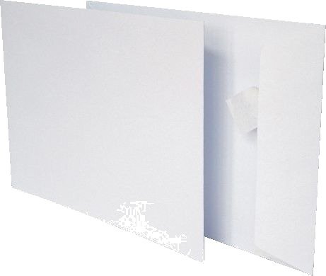 Globax Pro Pac C5 Envelopes 2257