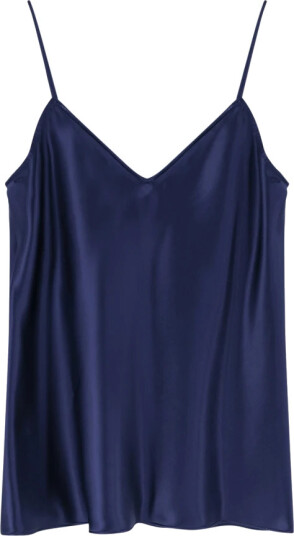 Alberta Ferretti Dame Topper Blå L,