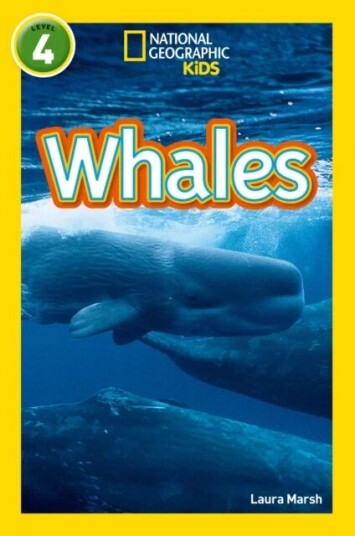 Whales Av Laura Marsh, National Geographic Kids