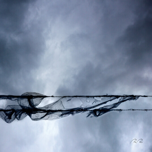 Blowing in the wind av Pia Roi