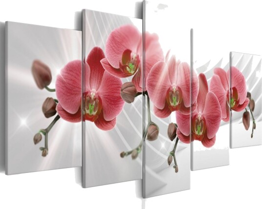 Bilde Abstract Garden Red Orchis 100x50 Artgeist sp. z o. o.
