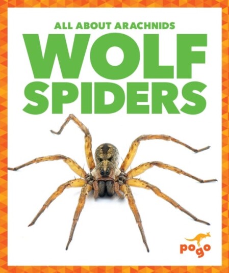 Wolf Spiders Wolf Spiders