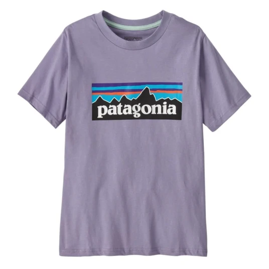 Patagonia   Kids P 6 Logo T Shirt Concrete Purple   XL 14år | Barn