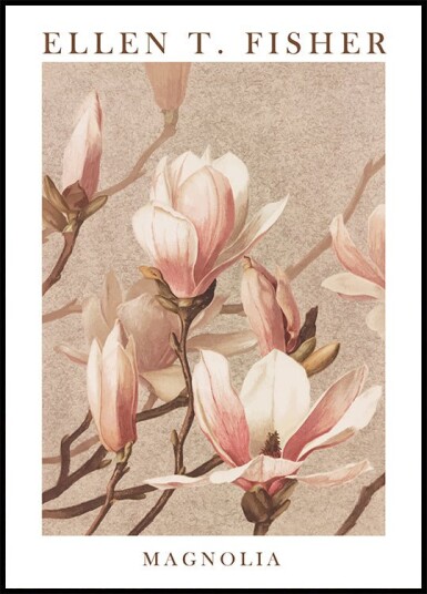 Magnolia Plakat Plakat / 50x70cm Magnolia Plakat Plakat / 50x70cm