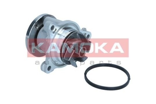 KAMOKA T0310 Vannpumpe KAMOKA T0310 Vannpumpe