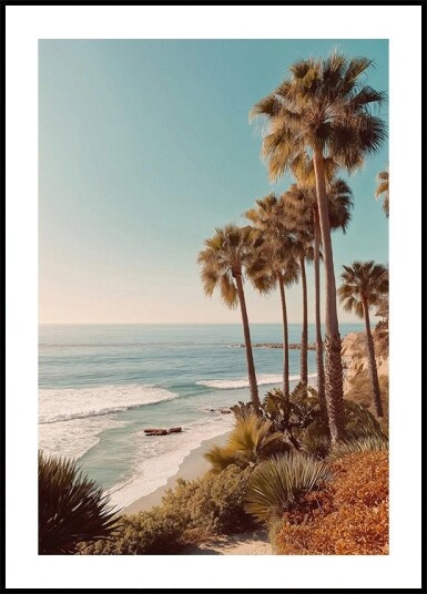 Palm Trees with Blue Sky Plakat Plakat / 50x70cm Palm Trees with Blue Sky Plakat Plakat / 50x70cm