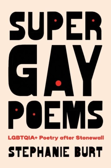 Super Gay Poems  LGBTQIA+ Poetry after Stonewall