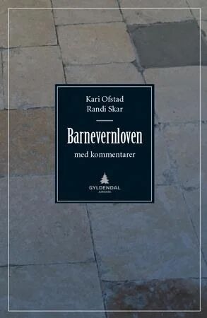Barnevernloven Av Kari Ofstad, Randi Skar