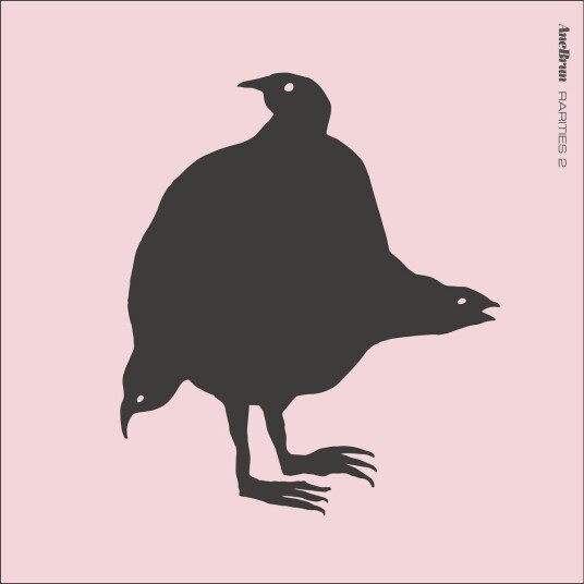 Ane Brun Rarities 2 LP/Vinyl Ane Brun Rarities 2 LP/Vinyl