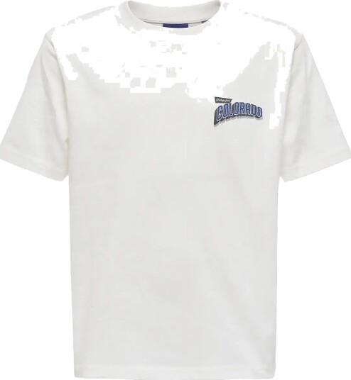 ONLY & SONS Osjfred States Life Rlx Ss Tee Jrs White 146 152 ONLY & SONS Osjfred States Life Rlx Ss Tee Jrs White 146 152